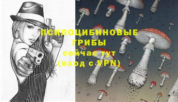 марки nbome Новодвинск
