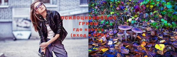 марки nbome Новодвинск