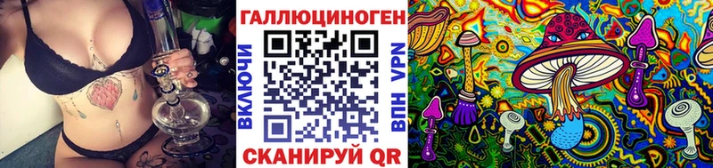Галлюциногенные грибы Psilocybe  Пошехонье 