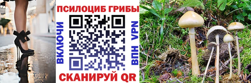 Галлюциногенные грибы Magic Shrooms Пошехонье